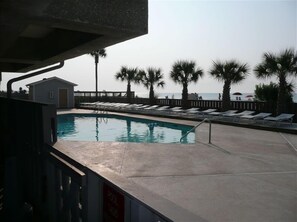 Oceanfront tropical pool area.  More palm trees than most 20 story complexes.