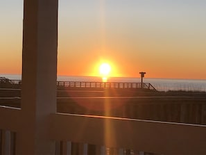Watch sunrise from the back deck