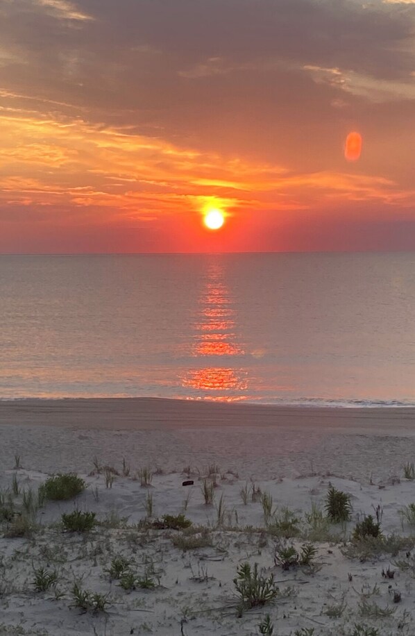 The reason you come to Dewey. We are steps to the beach. 🦀☀️