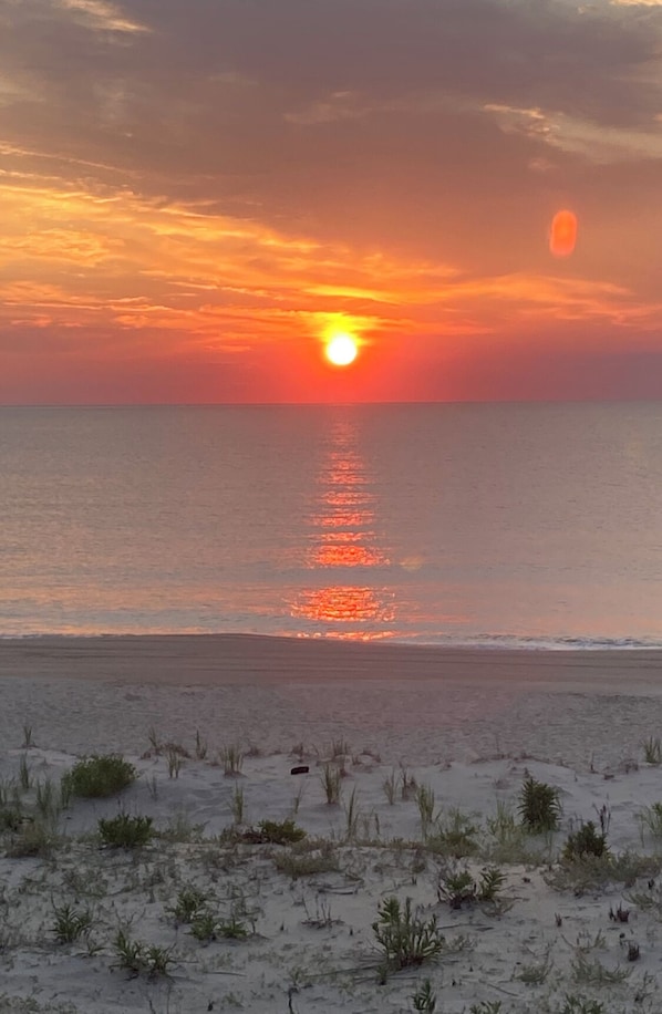 The reason you come to Dewey. We are steps to the beach. 🦀☀️