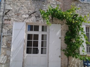 Grapevine cascading above entry way