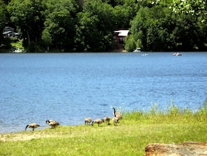 Robin Hood Lake