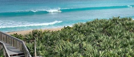 Vue sur la plage ou l’océan