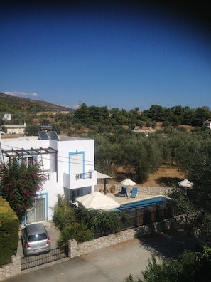 Villa and surrounding olive groves