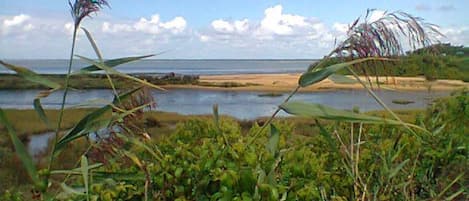 arrivée sur le bassin d'Arcachon.....bienvenue....