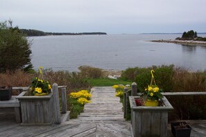 May Flowers from the front door and deck