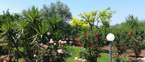 Jardines del alojamiento