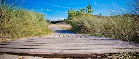 Les dunes , les chemins vers la plage ...