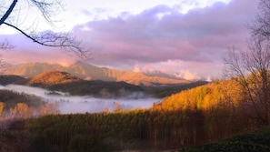 A stunning view taken from the master bedroom doorway in February!