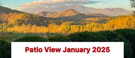 The view from the patio (and most of the house) as of January 2025.