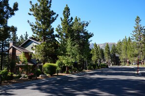 Super quiet beautiful street.