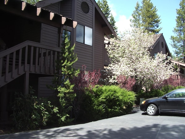 Front of Ridge Unit 20 on the 2nd floor with plenty of parking close to unit.