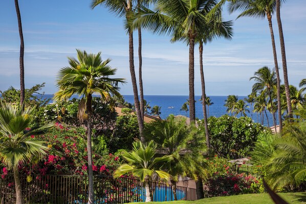 Ocean view from your lanai!
