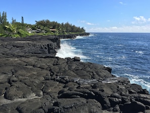 view from yard, up the coast to left