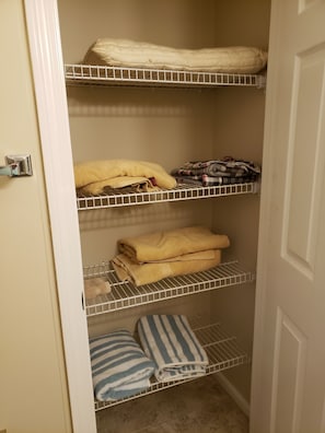 Master bath linen closet
