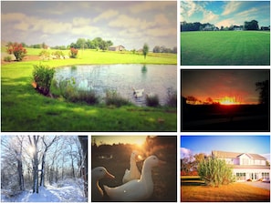 Some of the scenery of our property