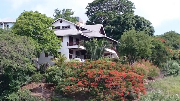 Área da propriedade