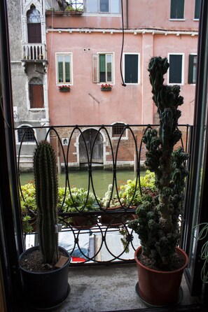 Seen from the corridor, you can go up to take photographs