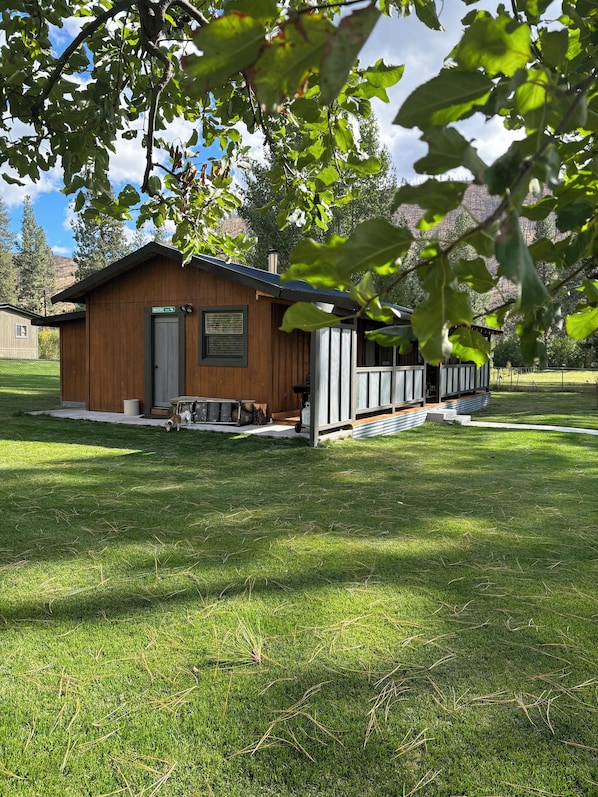 Exteriör