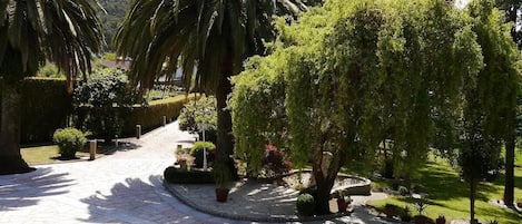 VISTAS DEL JARDIN DESDE LA ENTRADA PRINCIPAL