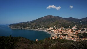 Vue aérienne