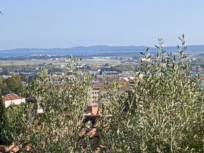 Oklassificerad bild, 4 av 43, knapp