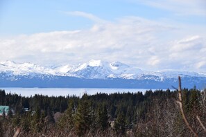 Kachemak Bay beauty.