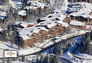 Aerial Black Bear at Silver Lake Village