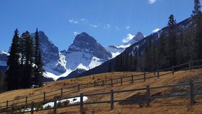 Copperstone 2BR in the Canadian Rockies - Dog-Friendly, Shared Hot Tub