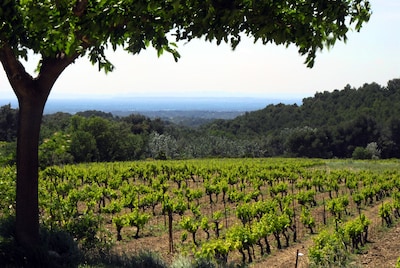 LE CLOS Gîte at the foot of the Dentelles de Montmirail -15% from 24 to 31/08