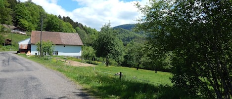 Terrain de l’hébergement 