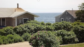 View from livingroom