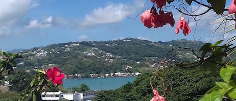 Vue sur la baie de Trinité depuis la terrasse