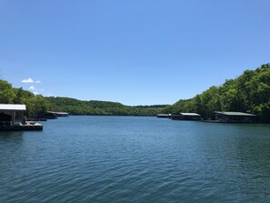 Your view of the quiet cove on pristine Beaver Lake -- fish and swim here!