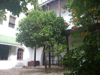 WOHNUNG MIT TERRASSE-SOLARIUM UND EIGENEM PATIO, PATIO DEL LIMONERO