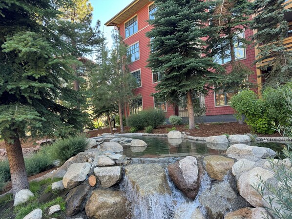 Aspens and pines right outside your windows. Best nature setting in the Village.