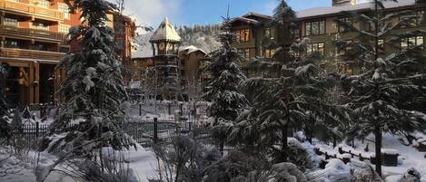 Winter View from Living Room