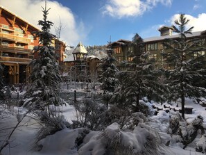 Winter View from Living Room