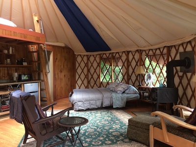 Secluded & Clean Yurt, nestled in woods and gardens