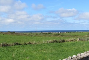 Oklassificerad bild, 5 av 23, knapp
