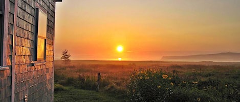 Overnatningsstedets område