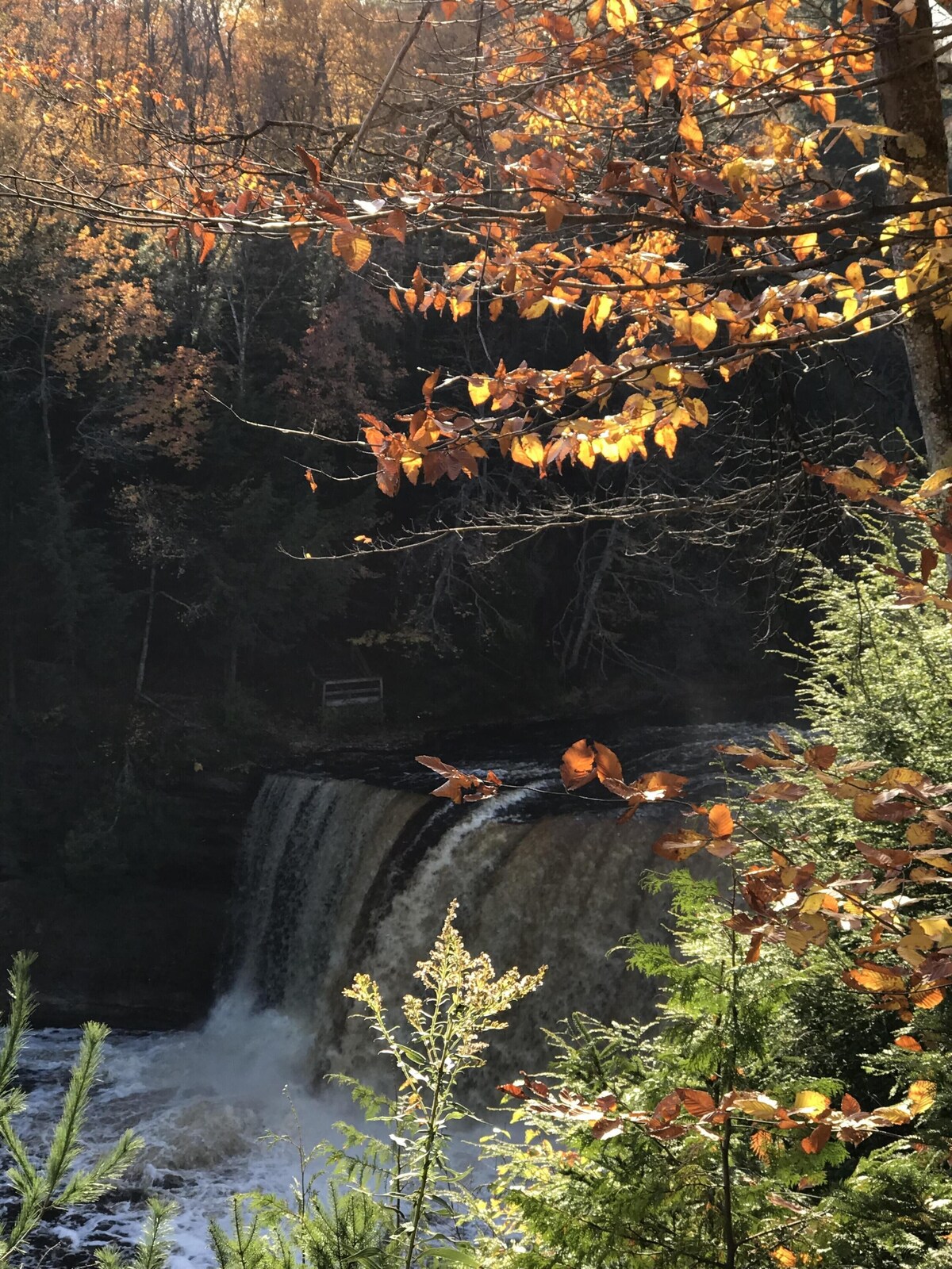 Huron Breeze Cottage – In the heart of Historic Mackinaw City