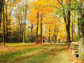 Fall in the Finger Lakes is amazing!