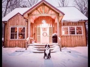 Winter wonderland 