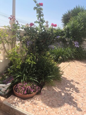 Lower garden