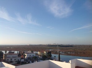 oursives et terrasse vue mer et canaux : au loin 