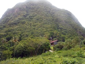 Home is the highest home on the Gros Piton.  The mountain is your backyard.