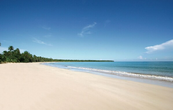 Strand