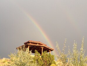Oklassificerad bild, 5 av 15, knapp