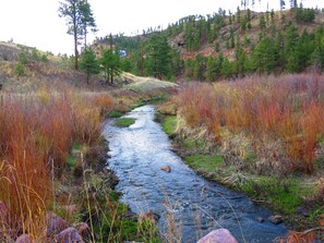 THIS CREEK IS RUNNING THROUGH THE PROPERTY